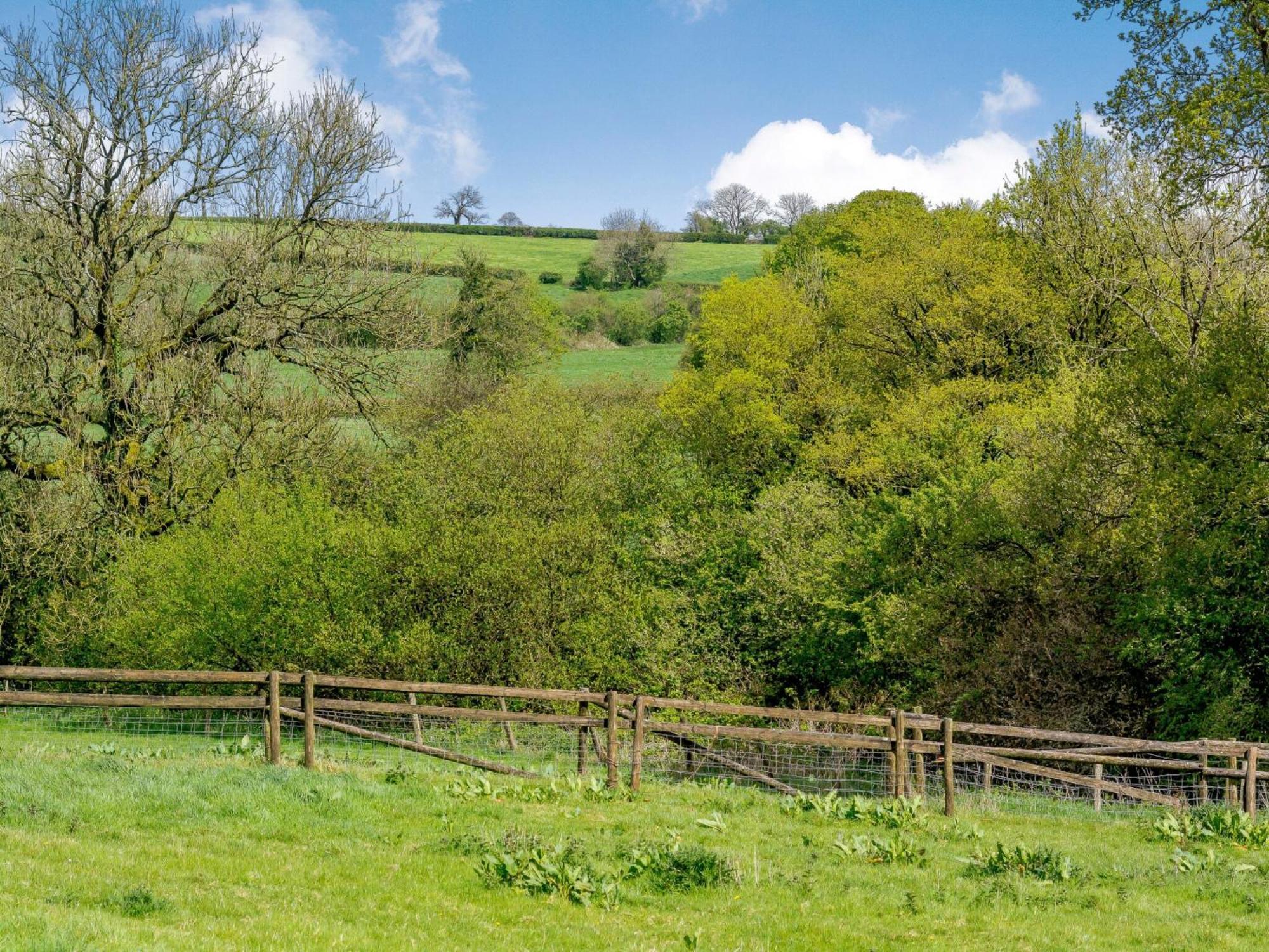 Marigold Βίλα Shepton Mallet Εξωτερικό φωτογραφία