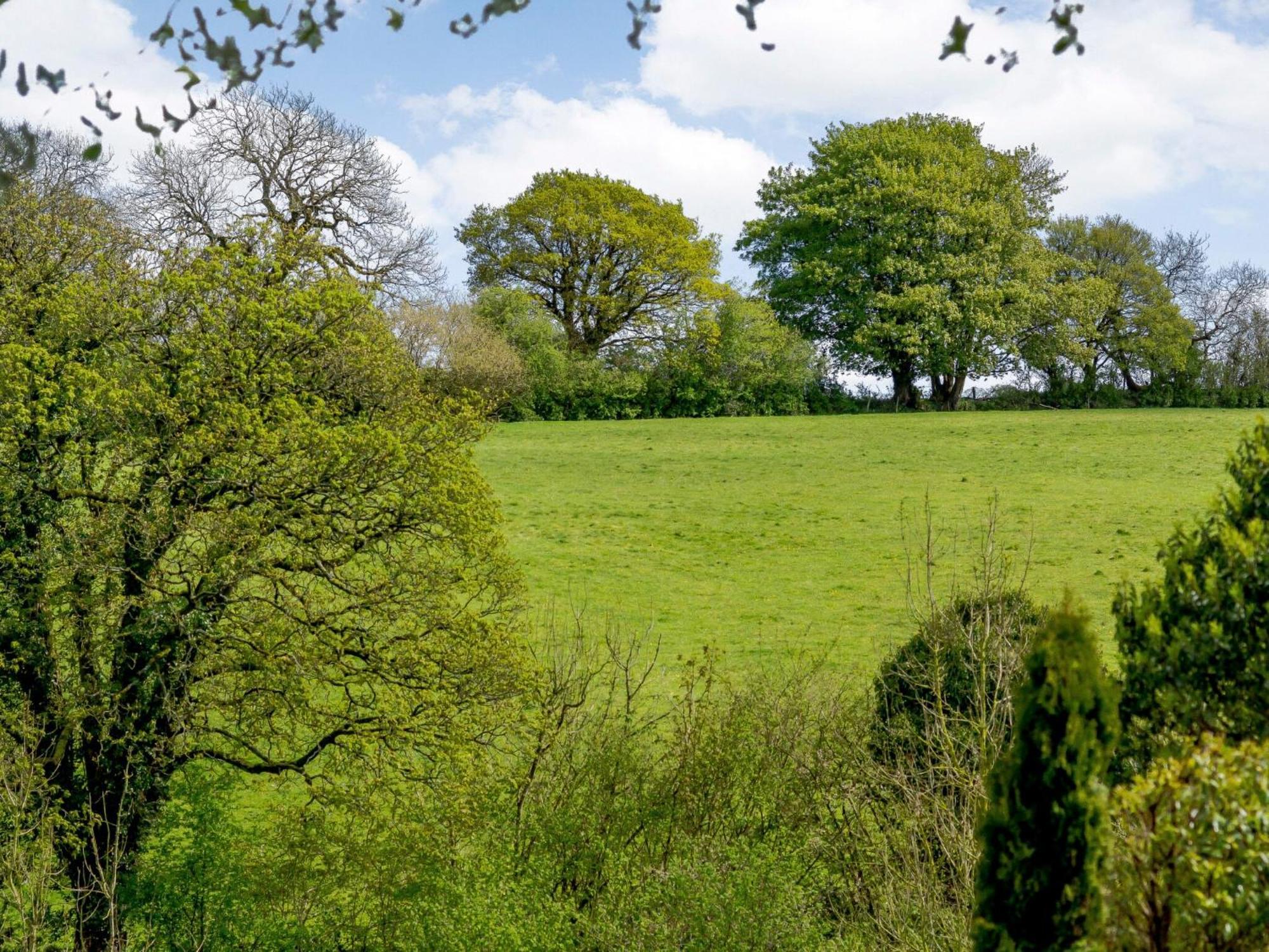 Marigold Βίλα Shepton Mallet Εξωτερικό φωτογραφία